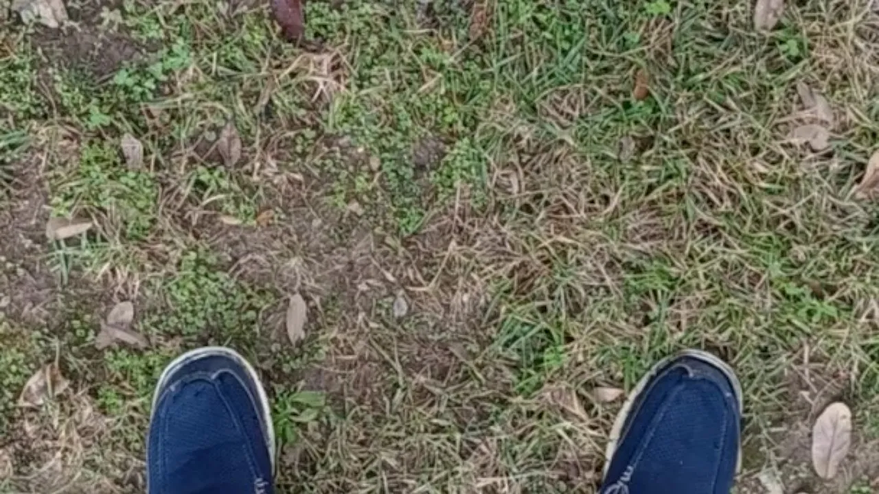 Backyard Pissing 