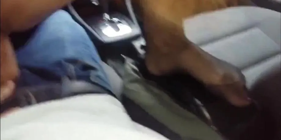 Sexy Girl im Auto geritten - NYLON FEET 