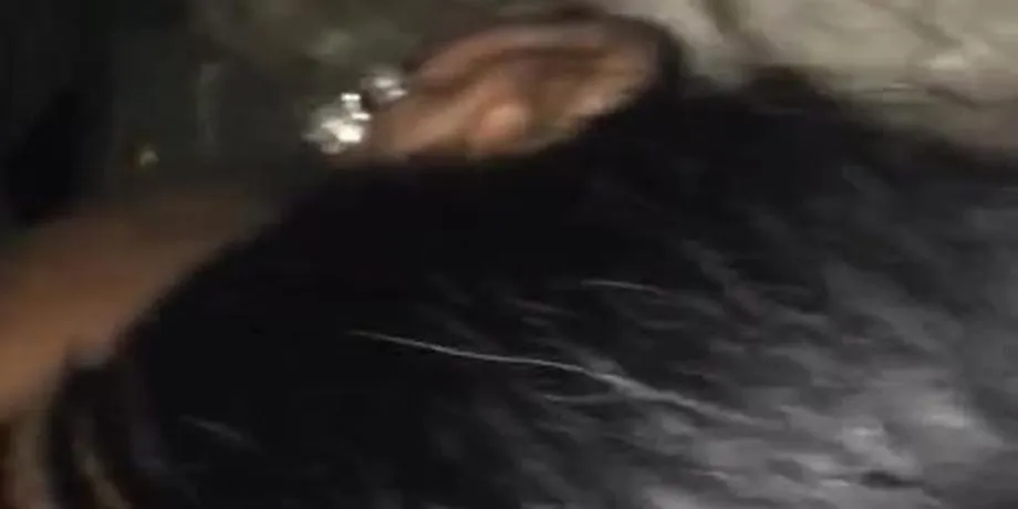 London bad B sucking sick good (Channelle Hatton) 