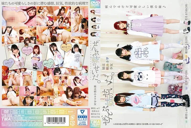 T28-503 It's all my sister's fault. ~My sister is a sick cute girl~ 