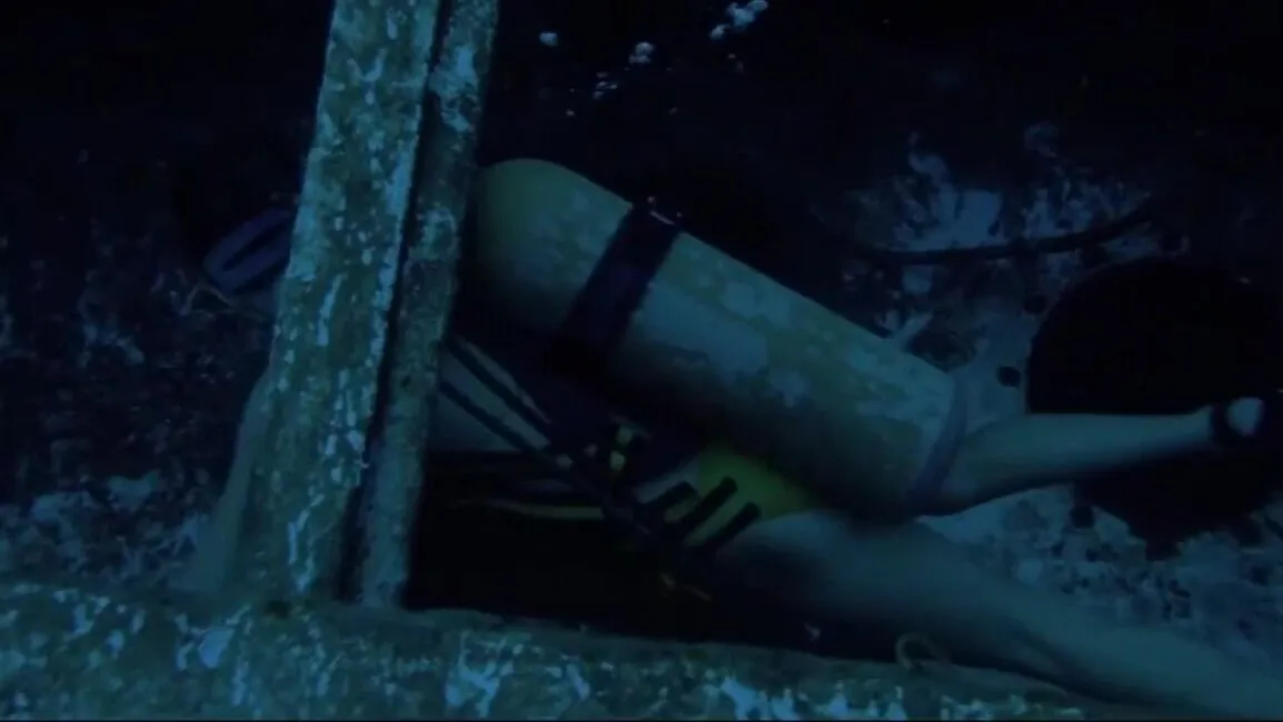 Scuba Babe in Nude Underwater Sex Scene: Piranha 2 The Spawning 
