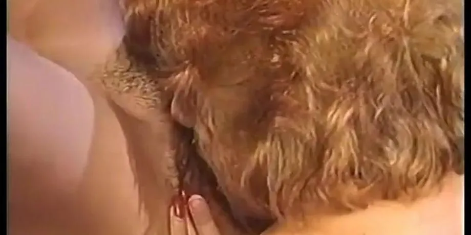 The Smart Ass Vacation (1990, US, Brittany, full video, DVD) (Isis Taylor, Jim Enright) 
