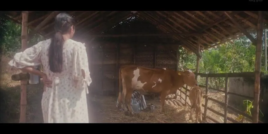 Birthmark (2024) [Telugu - 1080p HD AVC 