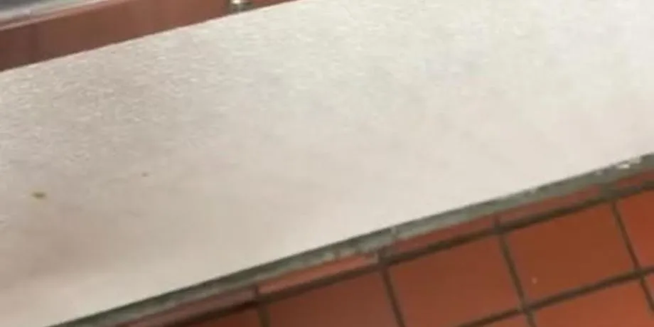 Crackhead Latina Lets Me Record Her Ass And Tits For Free Food 