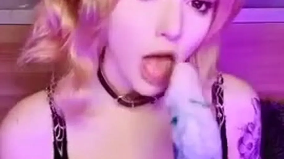 EnaFox Neko 2 