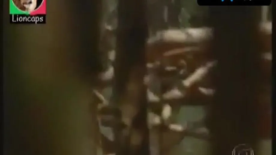 Suyane Moreira Breasts Scene  in Amazonia: De Galvez A Chico Mendes 