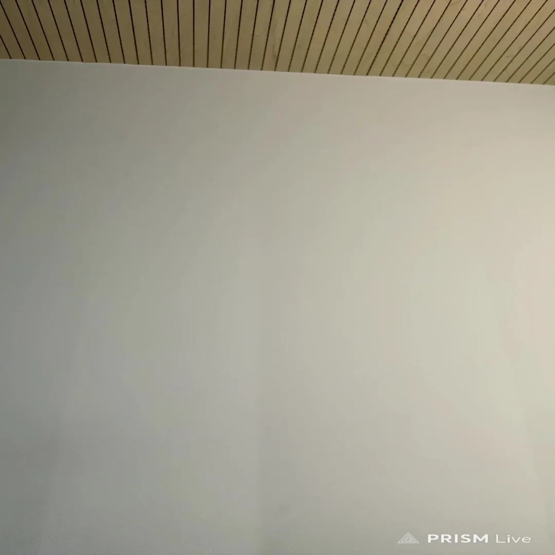 RPLAY Mae-eun ASMR vertical cam masturbation 2 pcs 1 