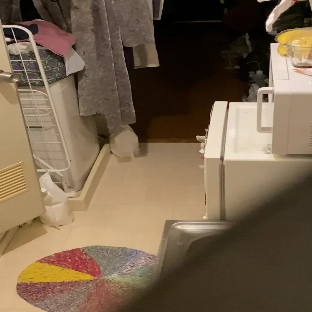 Such a cute college girl washes dishes with her pubic hair exposed. Every time I raise my legs, my pubic hair is swaying, and my crack is open to the public. voyeur jp 4 