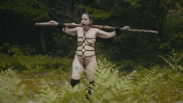 BDSM Humilation Slave Training - Shock Collar, Carrying Wood, Exercises, Sucking Dick While Pissing 