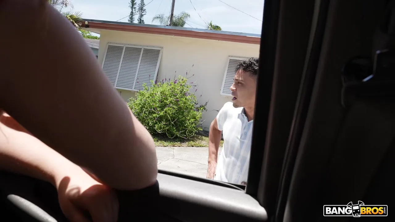 Ginger Snaps On The Bus 