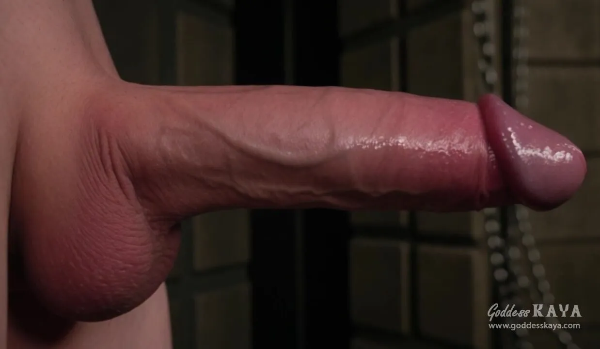 Goddess Kaya - Sperm Faggot (Cei) 